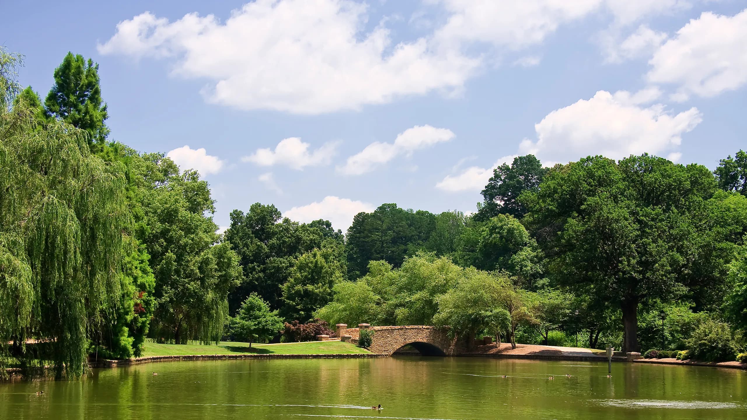 Freedom Park in Charlotte with green spaces and outdoor recreational areas